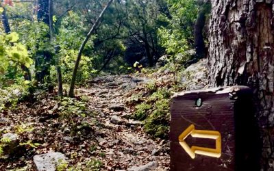 Live Your Life Like You’re Hiking It