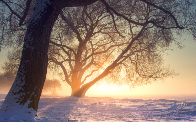 Five Healthy Hacks to Help Keep You Well This Winter